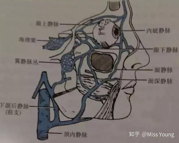 微博上现在在说的面部危险三角区有说的那么危险么
