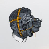 Zhihu profile picture for @dice