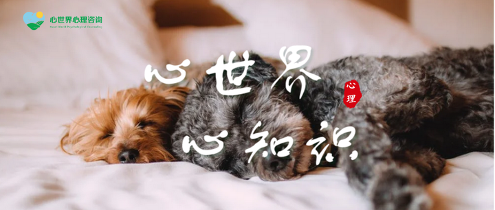 【心理咨询100问】动物恐怖症——怕猫怕狗,狭路相逢除了拔腿就跑,还能做什么? - 知乎