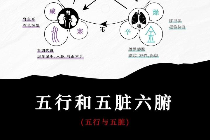 五行、五脏、五色、五音、五方、五气的中医理论 - 知乎