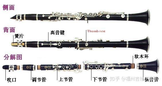 想学管乐，单簧管、萨克斯、长笛好不好学？ - 知乎