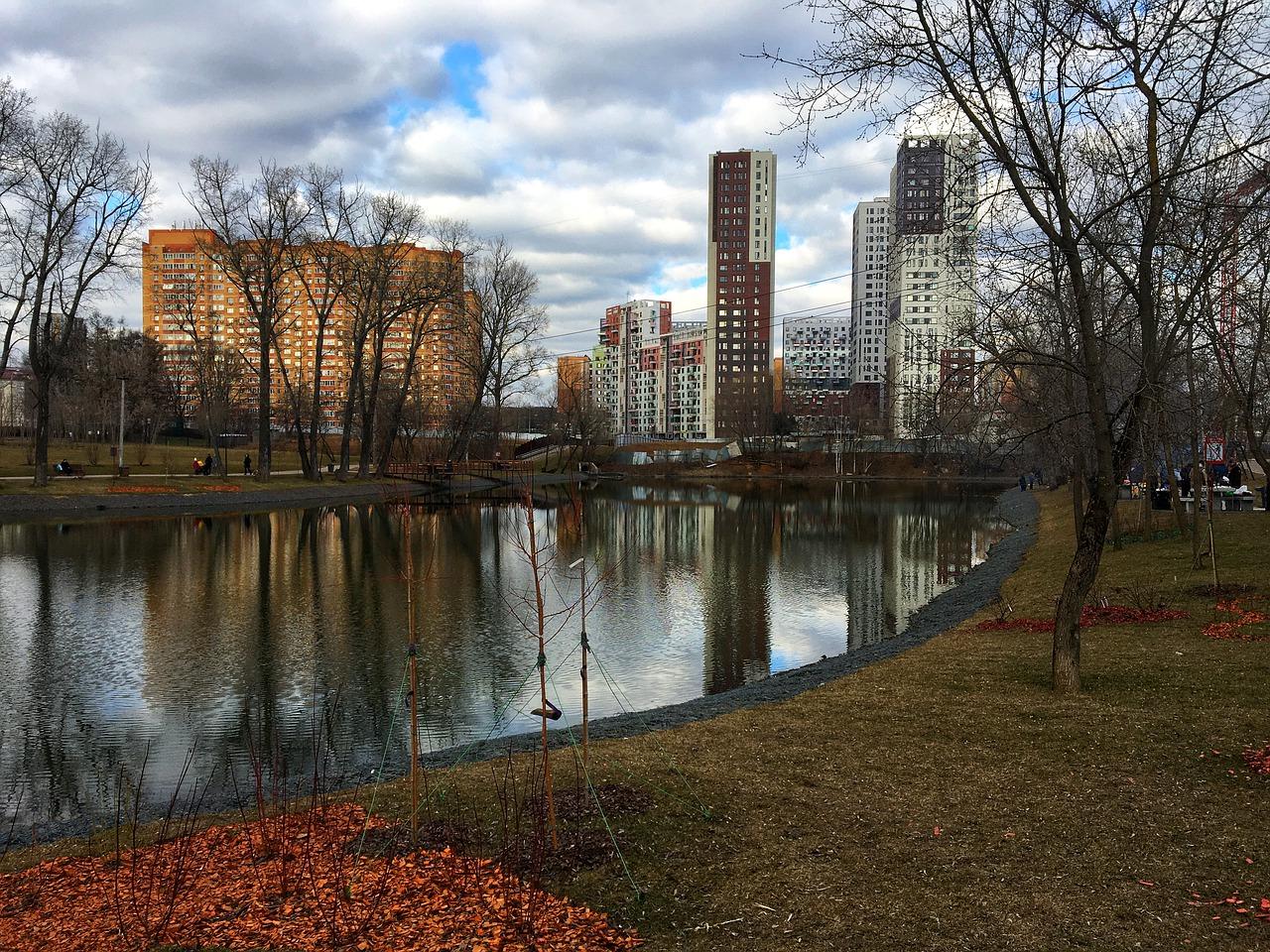 楼顶鱼池绿化搭配