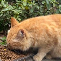 python-使用pygrib将已有的GRIB1文件中的数据替换为自己创建的数据 - 知乎