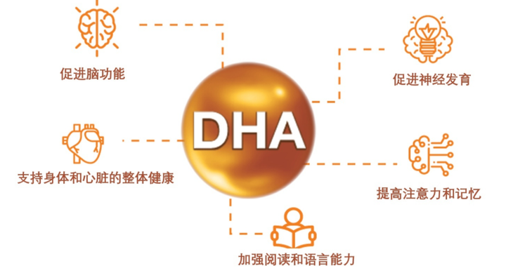 DHA和ARA的区别和作用是什么 百度知道
