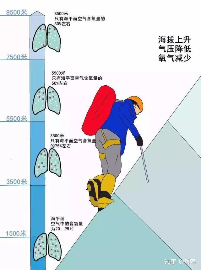 为什么会高原反应,有些人不会为什么在线