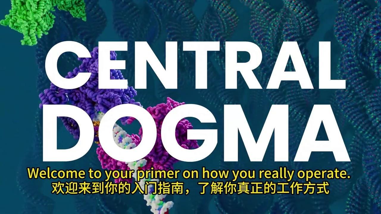 彻底解密DNA转录与mRNA剪接:动画揭秘生物学奥秘 - 知乎