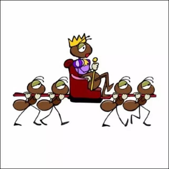 蚁后的一生是怎样的