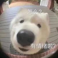 Zhihu profile picture for @tacks