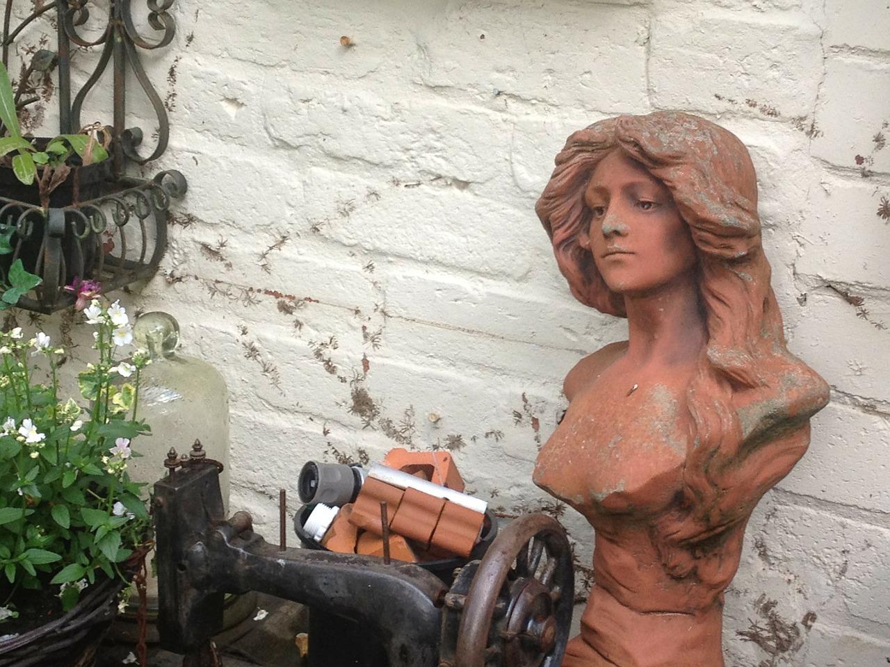 2. 耐阴草花选择