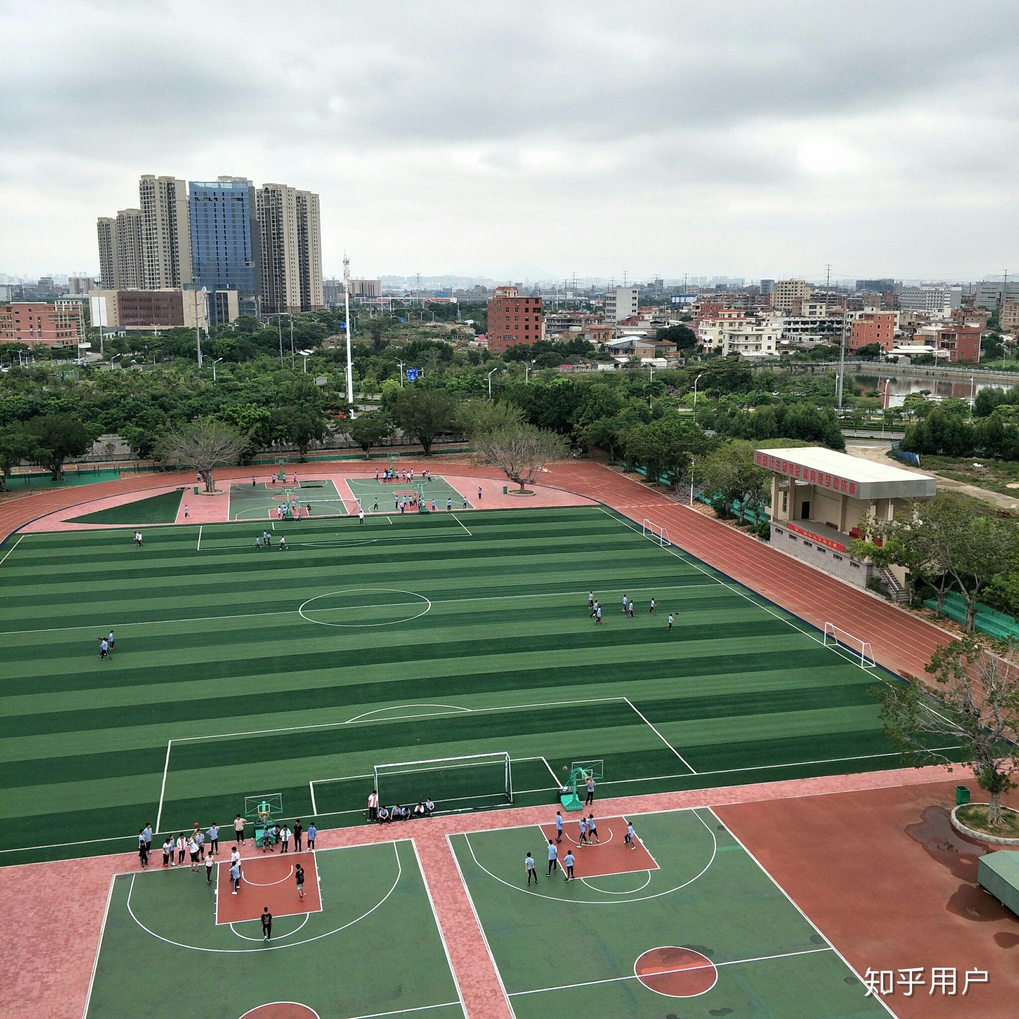 在石狮市第三中学就读高中是种什么样的体验