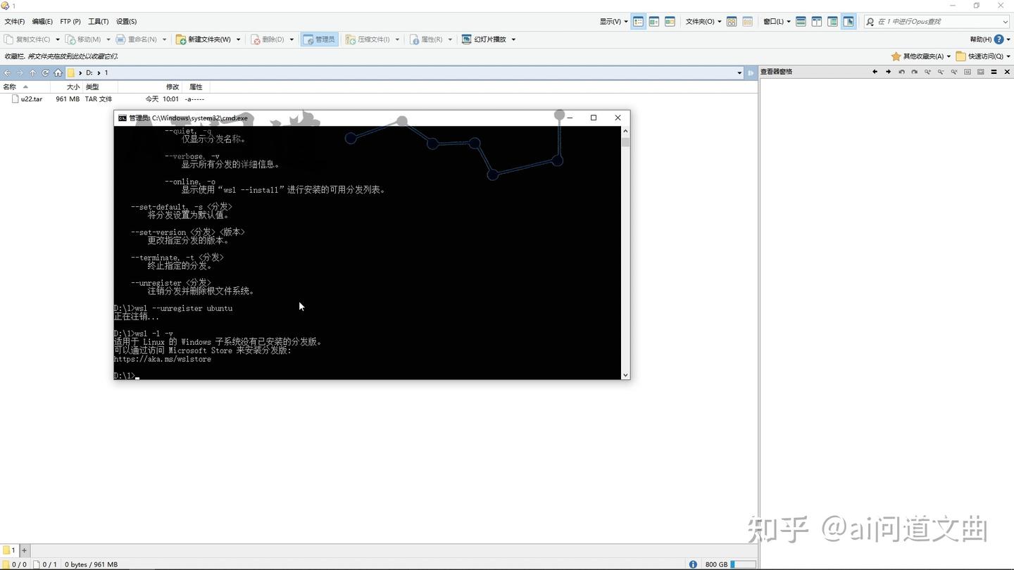 Wsl 