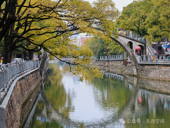 昆明滇朴披金:大观河风景独好!(附美图) - 知乎