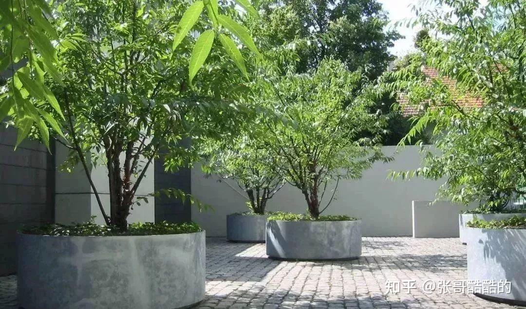 见过那么多树池,这些设计技巧你都知道吗? - 知乎