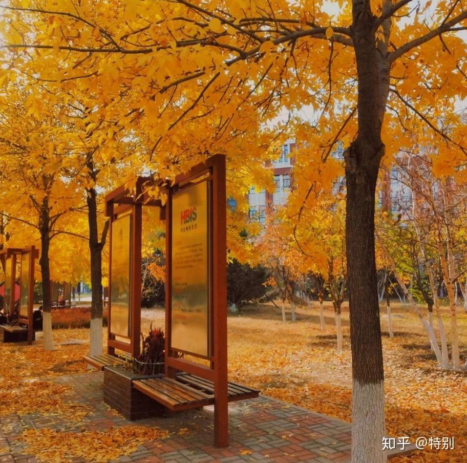 承德石油高等专科学校的校园环境如何