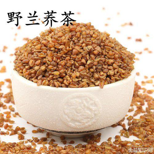 野兰荞的功效与作用
