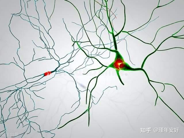 什么是神经衰弱,症状表现和危害主要有哪些? - 知乎