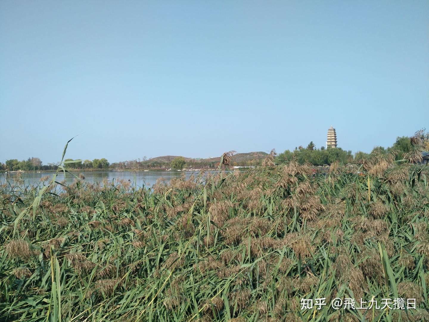 渼陂湖记 - 知乎