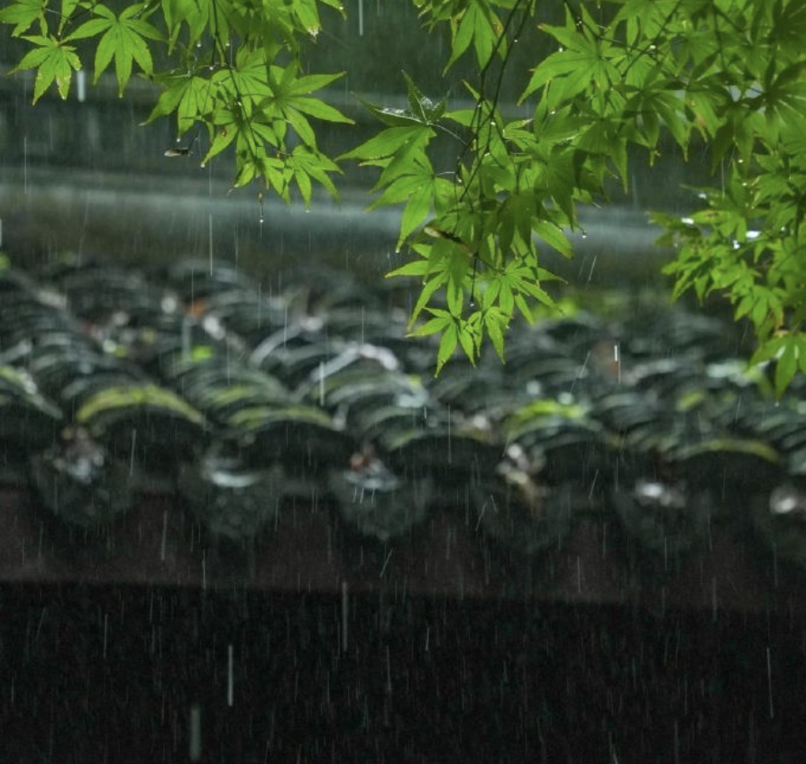 梅雨季,家里潮湿,除湿机管用吗?为什么有人会认为除湿机,是智商税?分享德业、多乐信、airx、小米等主流品牌