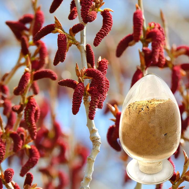 杨树花提取物的成分功效说明