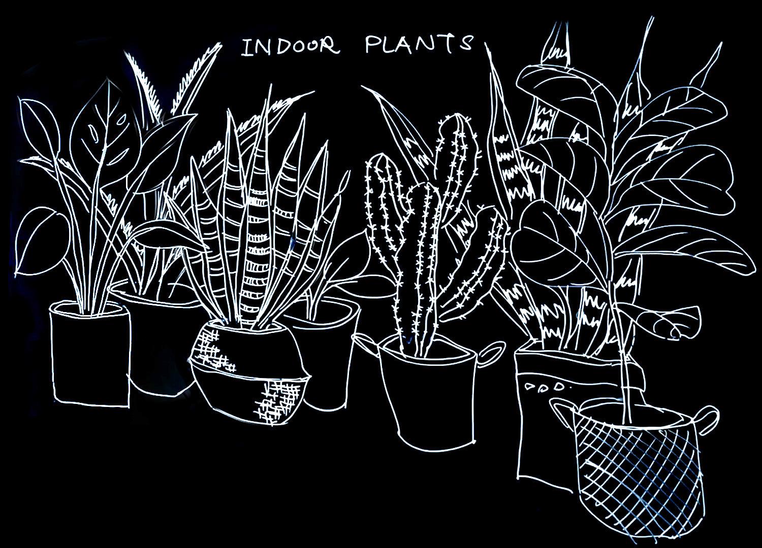 【画法拆解】教你7种简笔画ins风植物