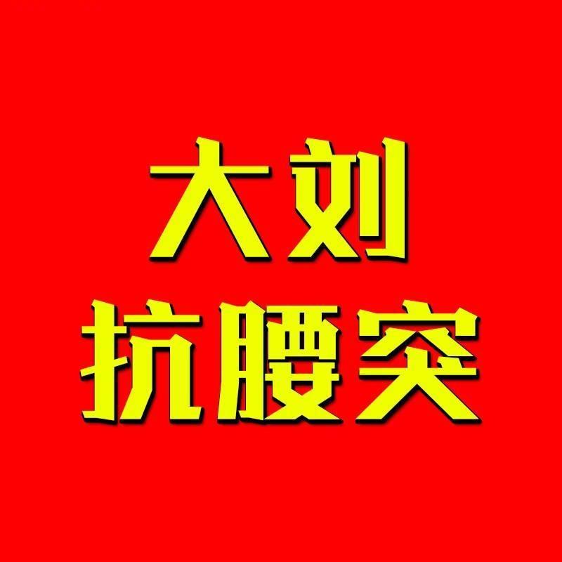 大刘抗突