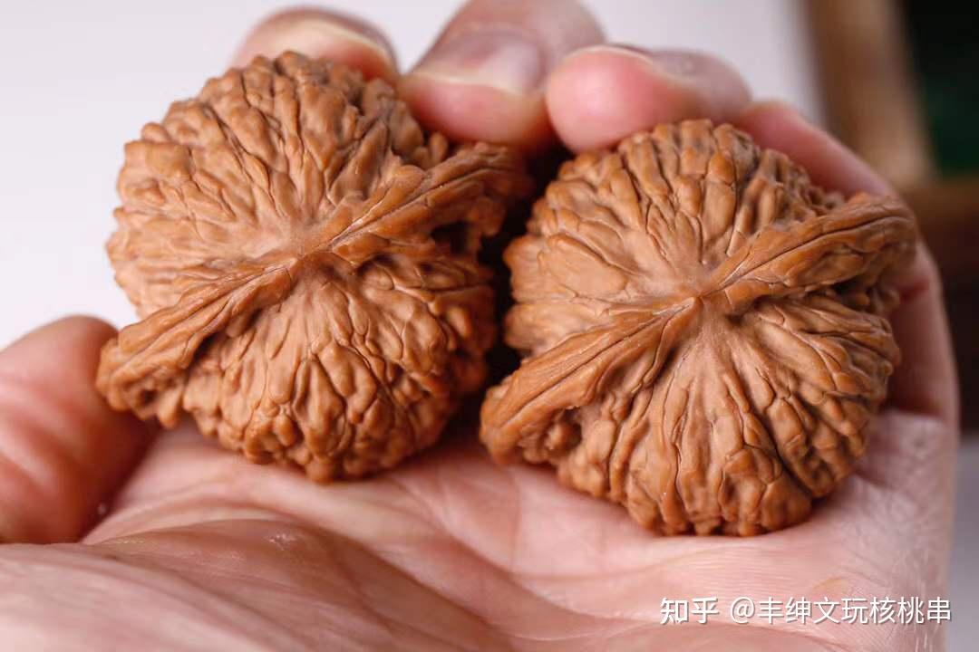文玩核桃每个品种特点- 抖音