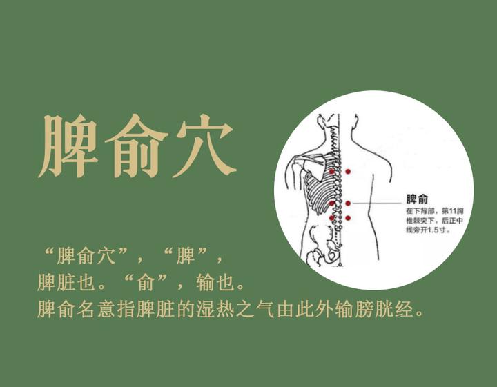 日常保健灸|冬季养生,多灸“智慧囊”脾俞穴 - 知乎
