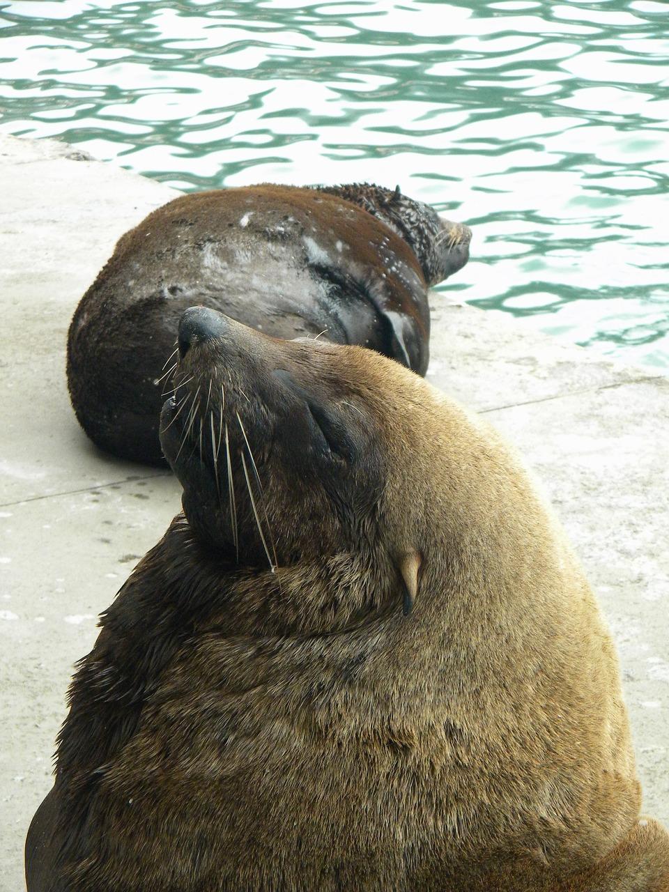 3. 定期翻页通风