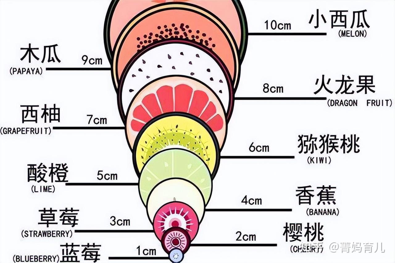 “宫开十指”有多大？高清图告诉你！心疼老婆，感恩妈妈 - 知乎