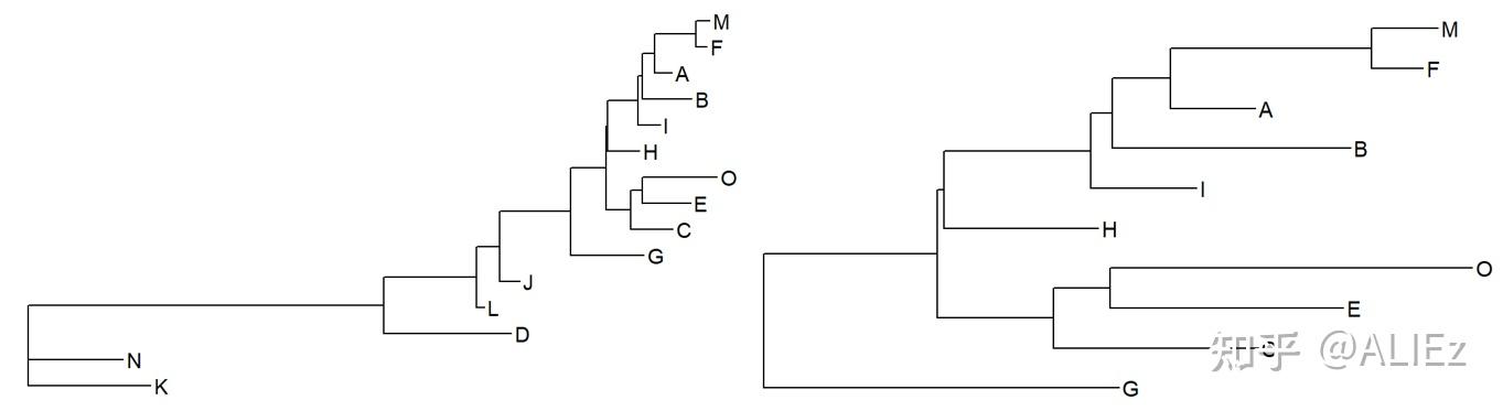 Treeiso R R语言绘制进化树:treeio+ggtree - 知乎