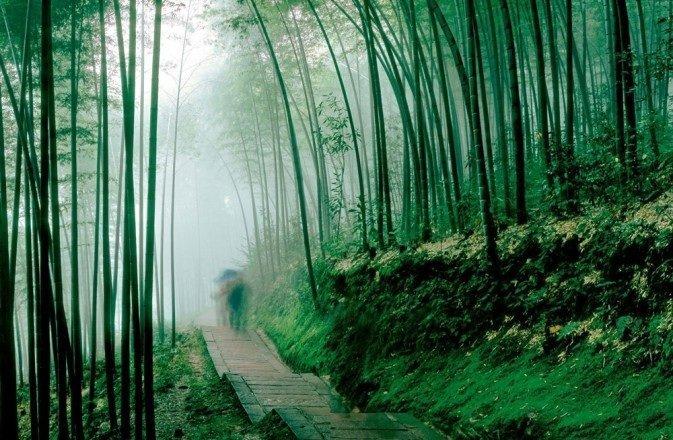 唐代诗人王湾,一生寂寂,却用一句诗名扬千古 - 知乎