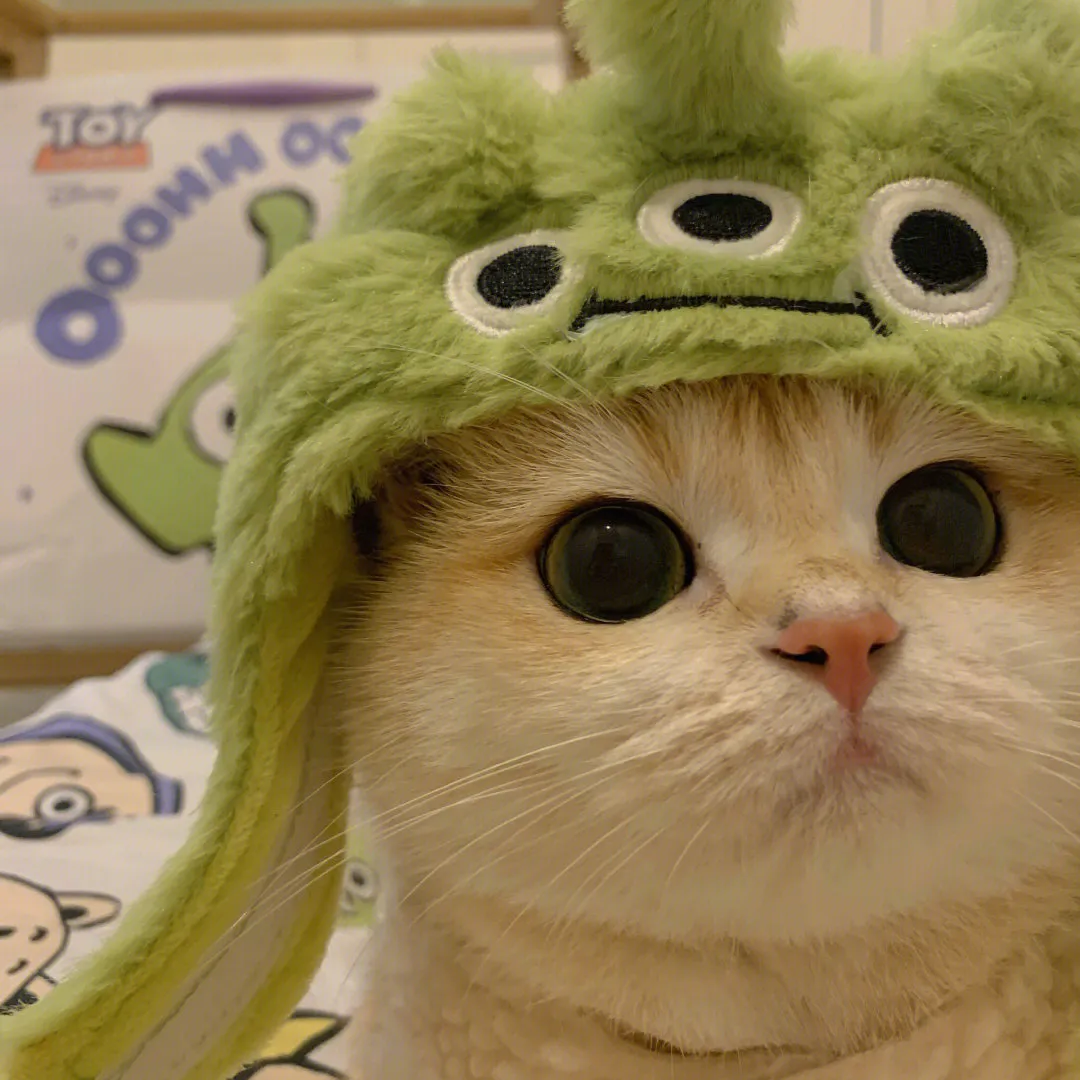 有哪些严肃点的猫咪头像值得分享?