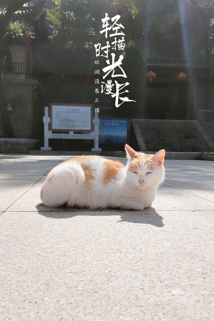 发一篇sci一区二区有多难 知乎