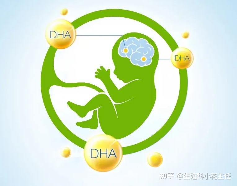 DHA的奇迹：孕期补充对宝宝过敏的保护作用 - 知乎