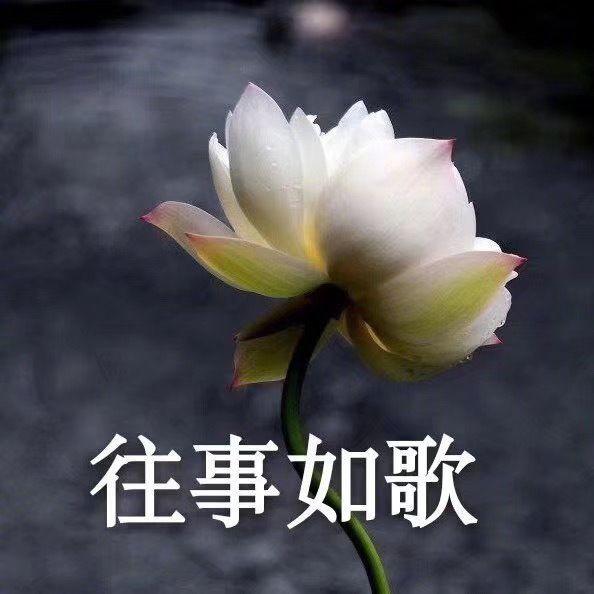 有没有适合爸爸的微信头像? - 知乎