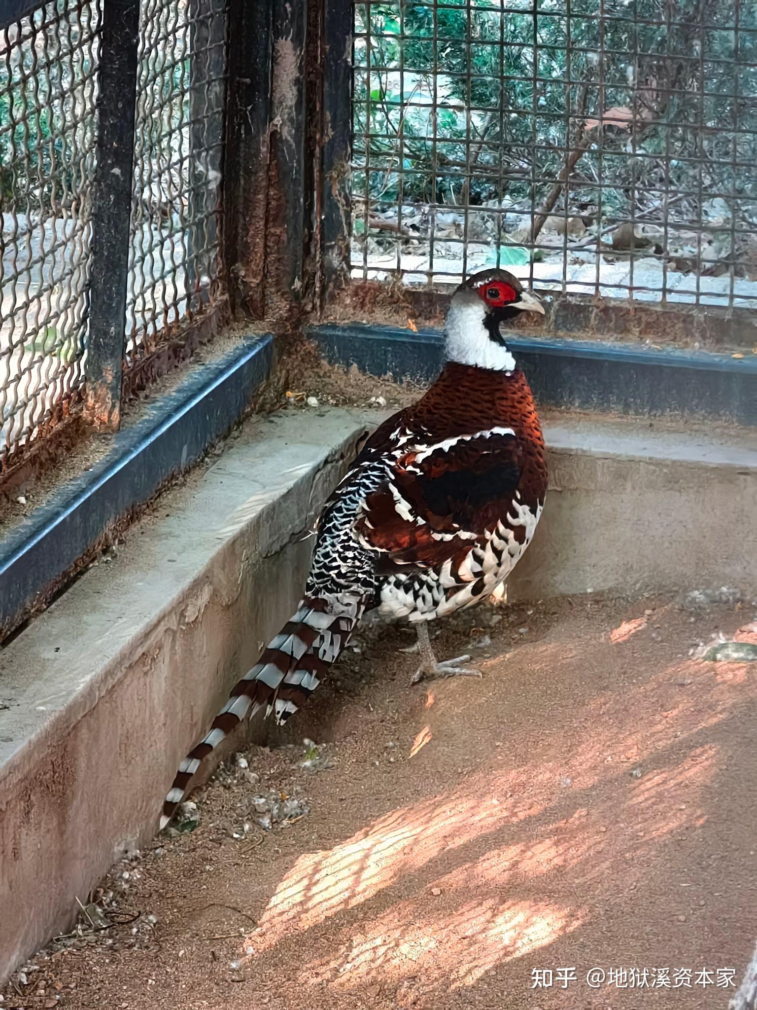 蔡徐坤有出演《庆余年2》吗?