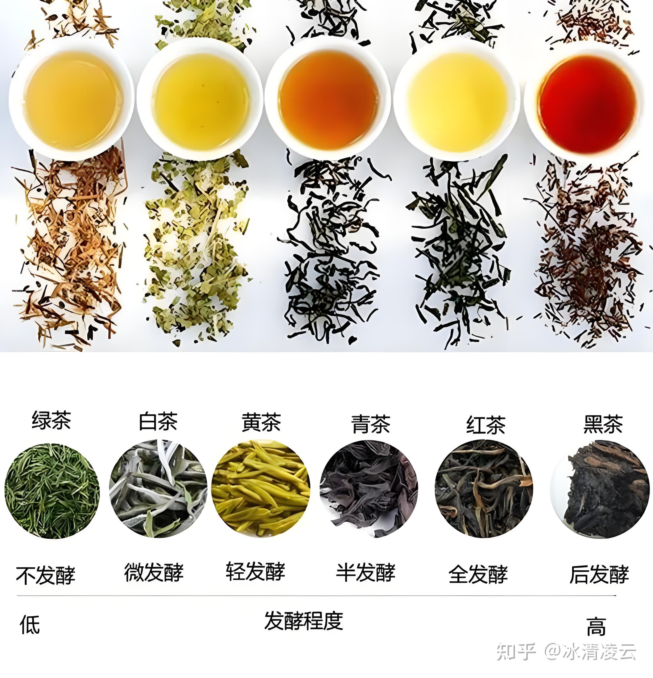 哀牢山茶叶特点图片