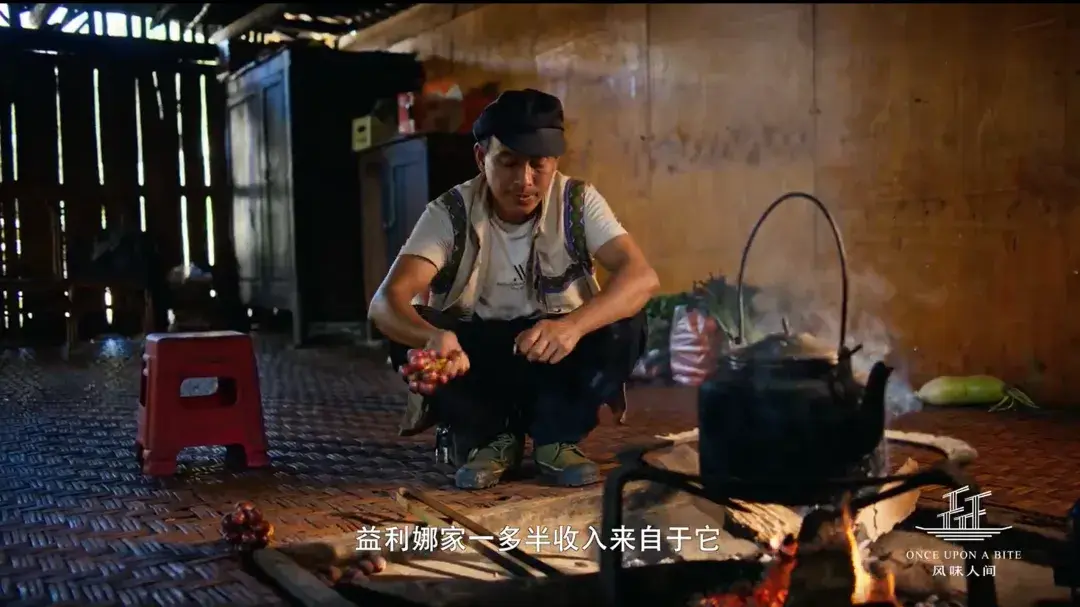 《风味人间 5 香料传奇》开播开启全球寻香之旅,在播出后观众和美食界