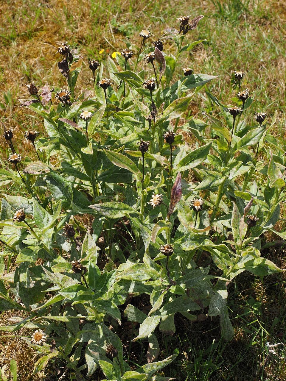 3. 风雨飘摇怎安身