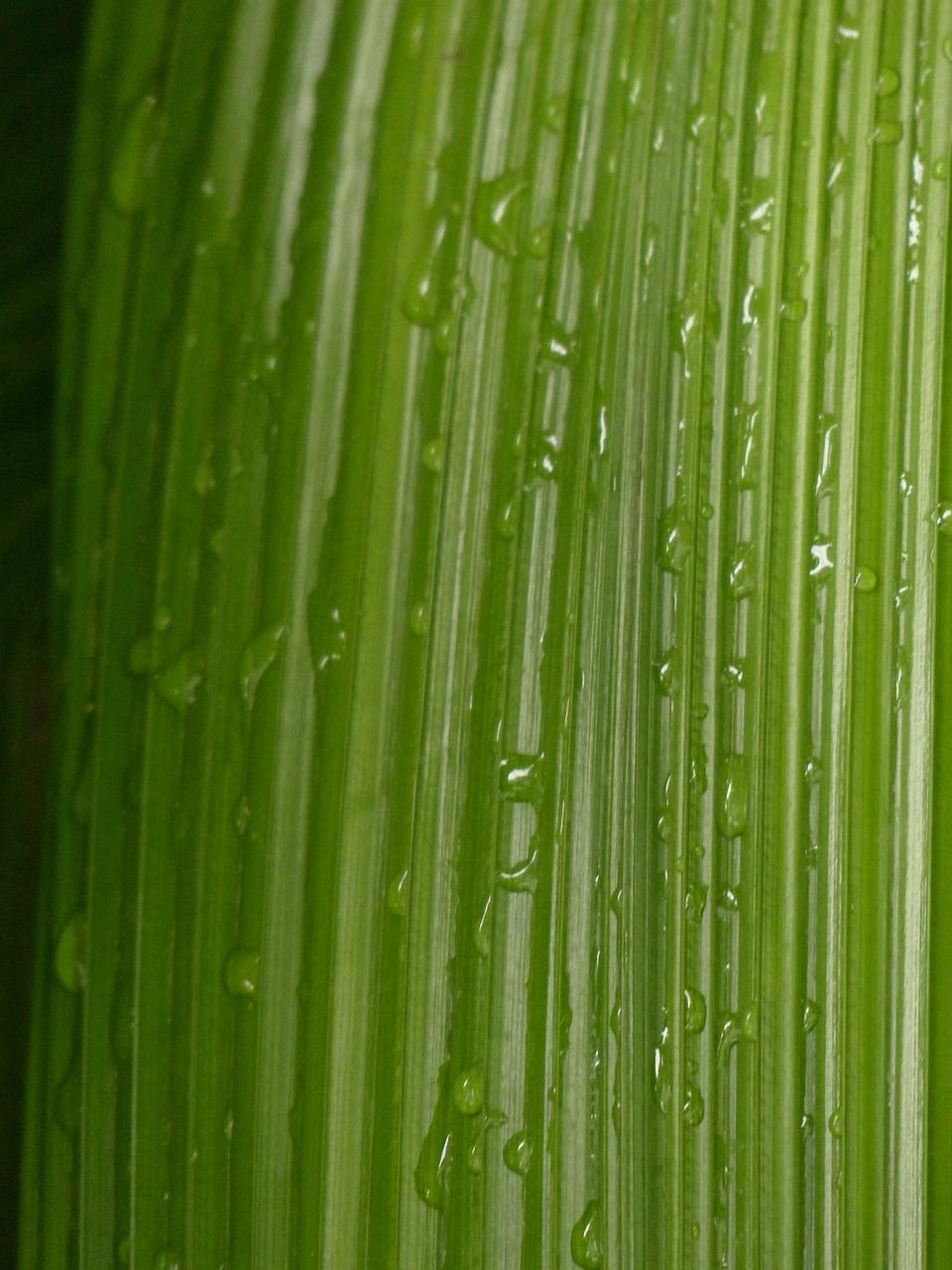 分布筋答接是多少