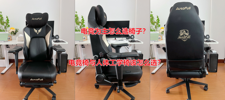 椅子 社长椅子  电竞椅子 v2-