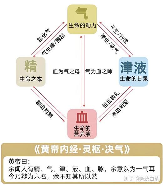 中医基础--气、血、津、液之间的关系 - 知乎