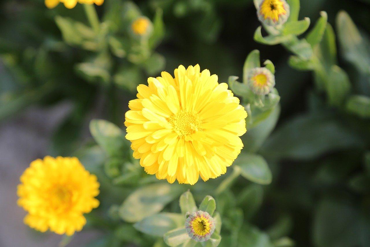 2. 材质品质考量