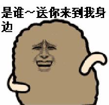 动图封面