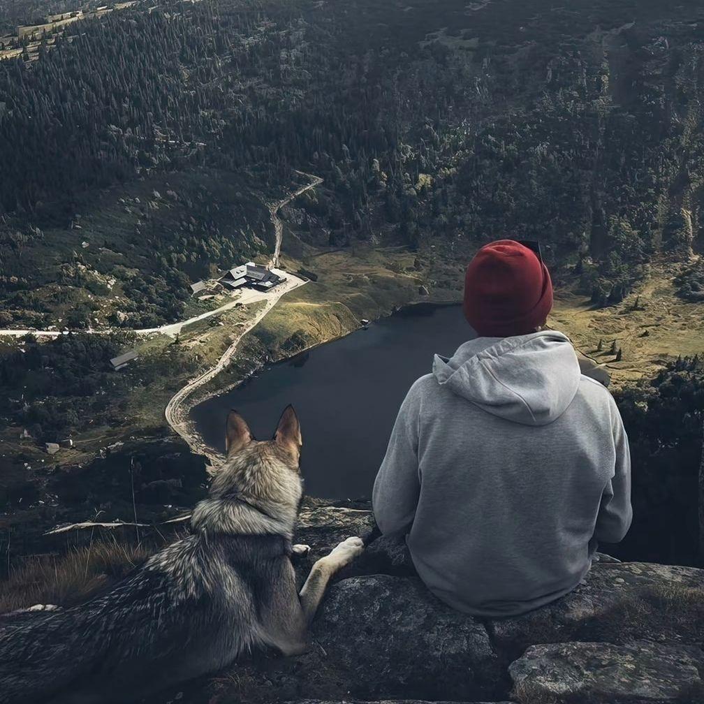 有没有看上去很自由的头像? - 知乎