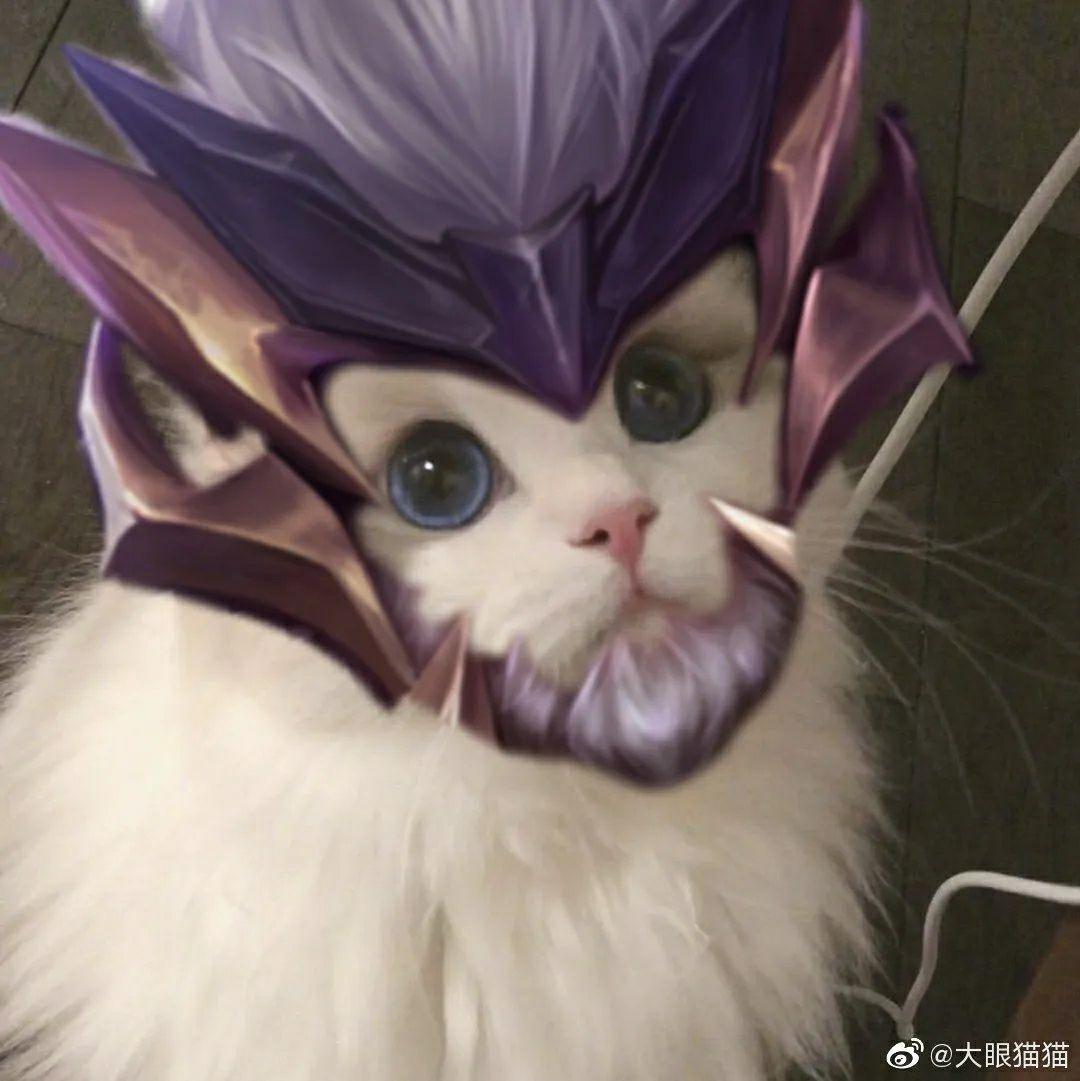 谁有王者荣耀五黑头像