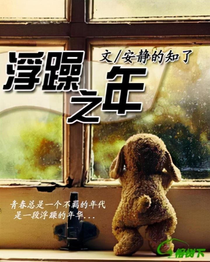 浮躁之年（37） - 知乎