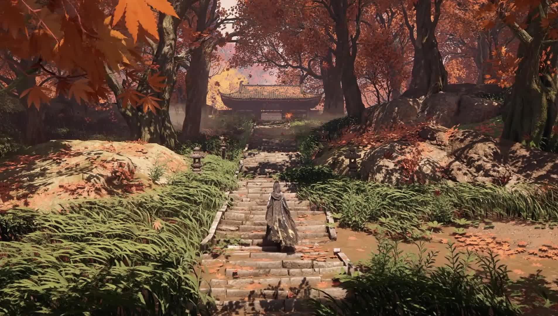 Seedance 1 0 Pro