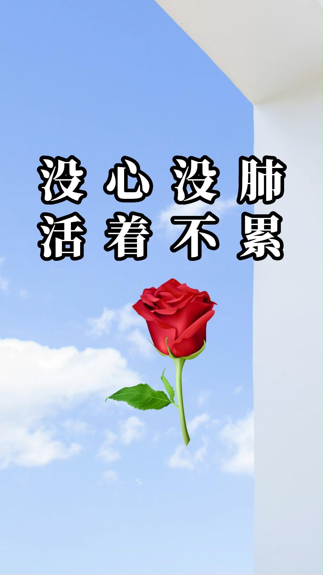 没心没肺活着不累