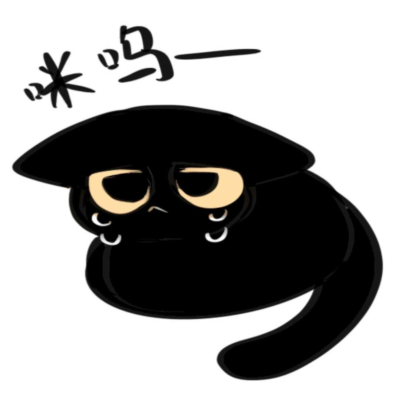 有黑猫头像吗? - 知乎